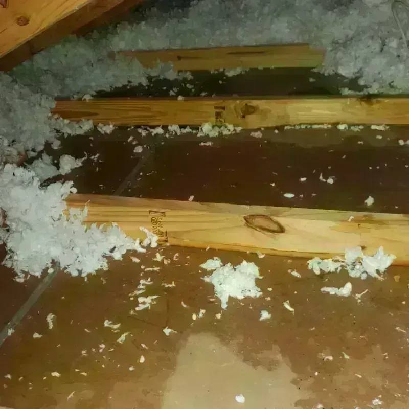 Attic Water Damage in Pilot Mountain, NC